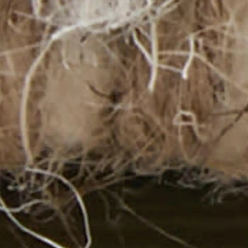 Blue And Ivory Wool Floral Hand Tufted Area Rug Photo 3