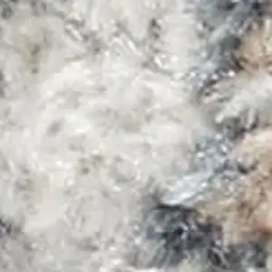 Photo of Blue And Orange Floral Medallion Washable Area Rug