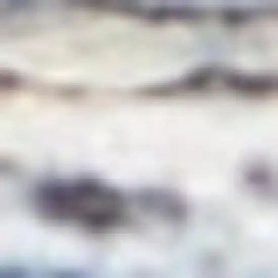 Blue And Orange Medallion Distressed Washable Area Rug Photo 1