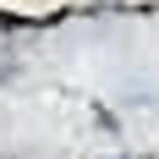 Blue And Pink Floral Power Loom Distressed Washable Area Rug Photo 5