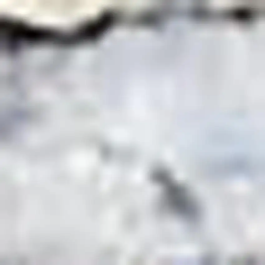 Blue And Pink Floral Power Loom Distressed Washable Area Rug Photo 5