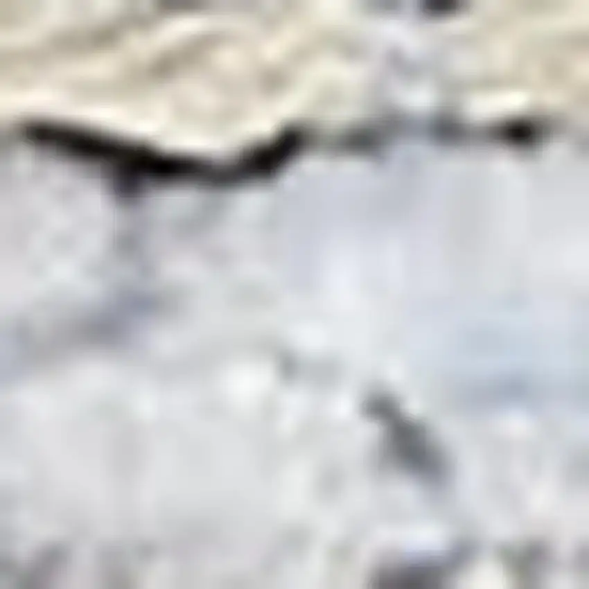 Blue And Pink Floral Power Loom Distressed Washable Area Rug Photo 1