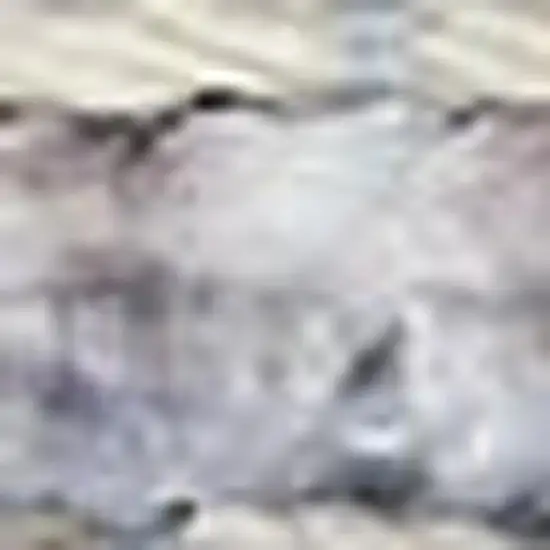 Blue And Pink Floral Power Loom Distressed Washable Area Rug Photo 3