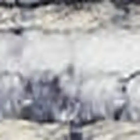 Blue And Pink Floral Power Loom Distressed Washable Area Rug Photo 3