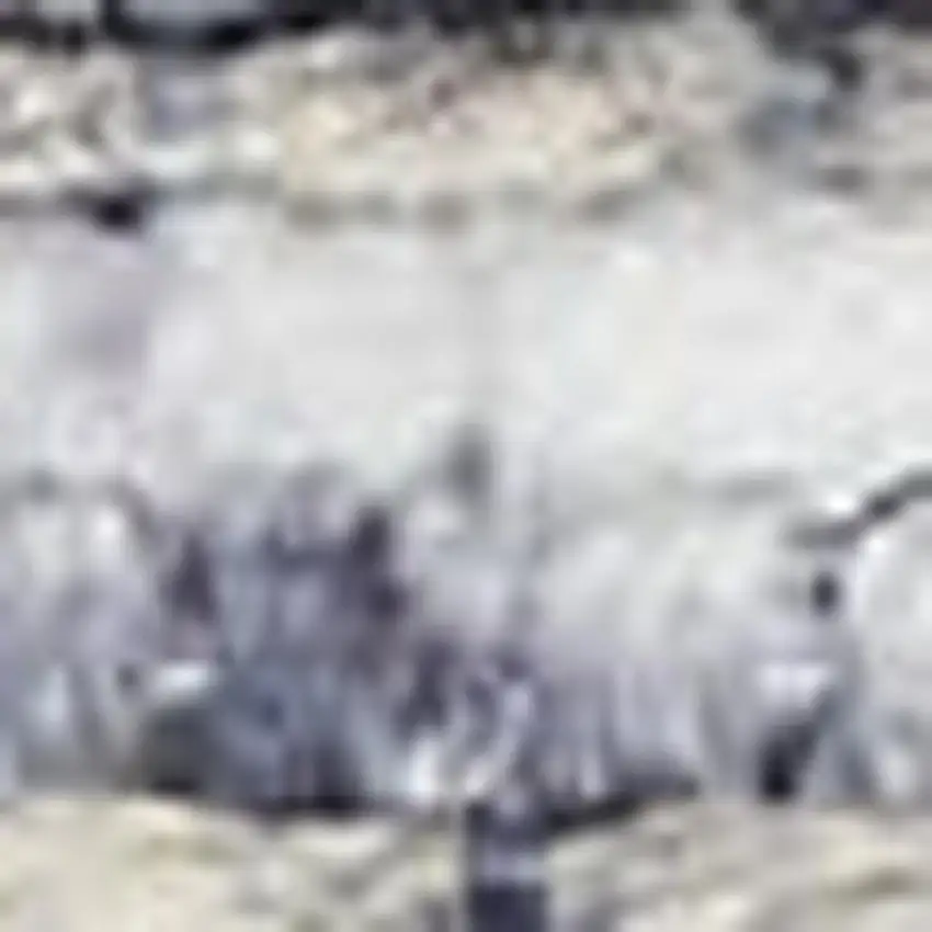 Blue And Pink Floral Power Loom Distressed Washable Area Rug Photo 3