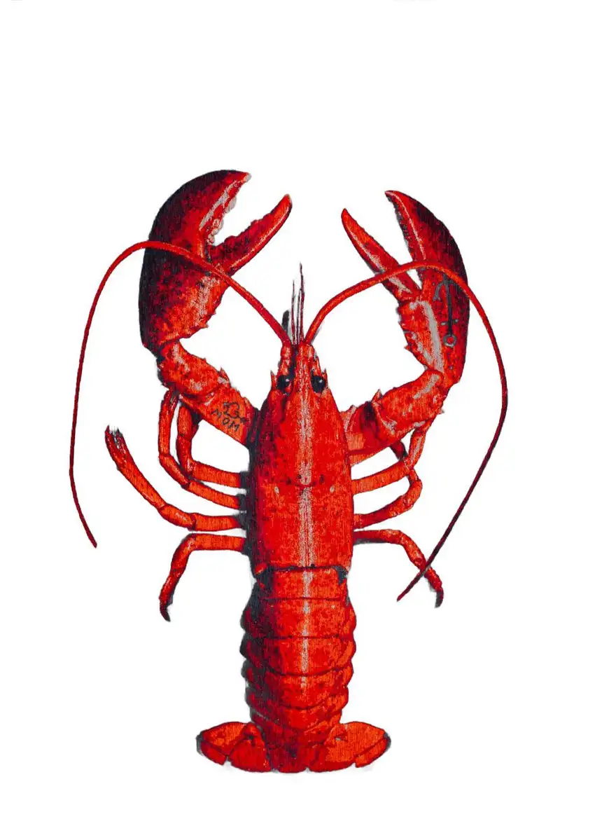 Blue And Red Abstract Washable Area Rug Photo 6