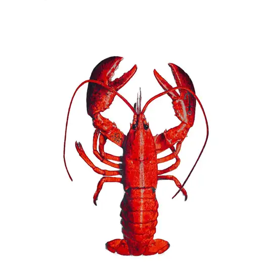 Blue And Red Abstract Washable Area Rug Photo 6