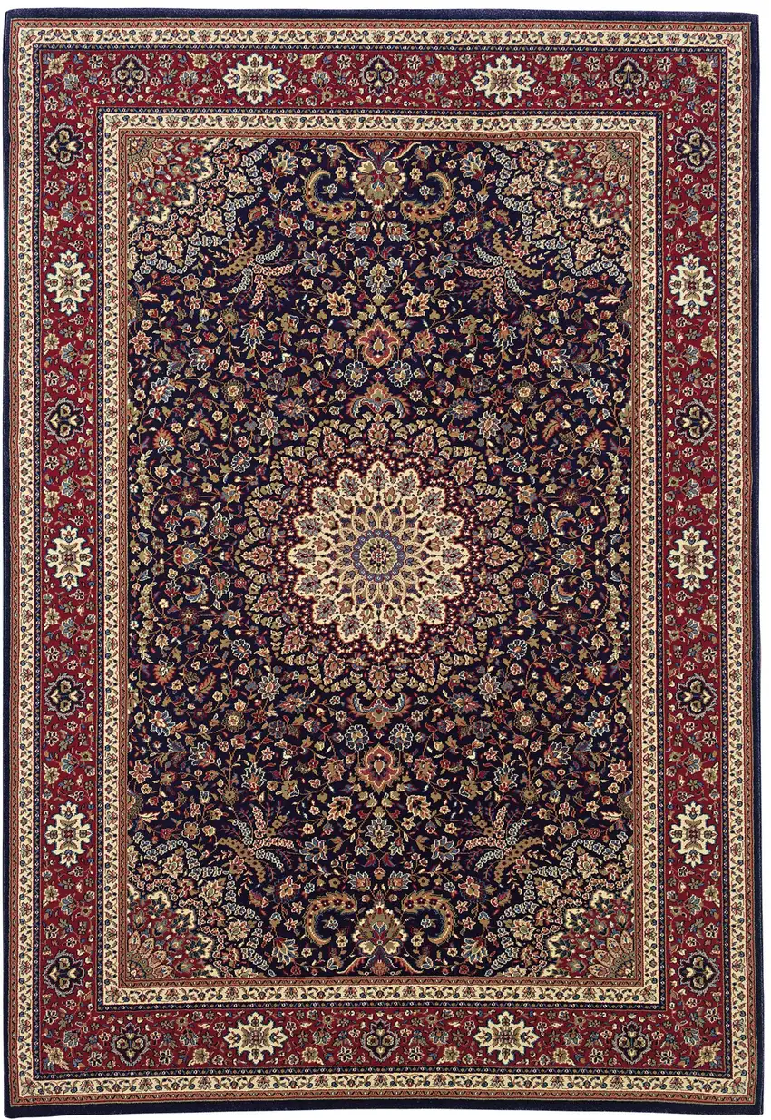 Blue And Red Oriental Area Rug Photo 2