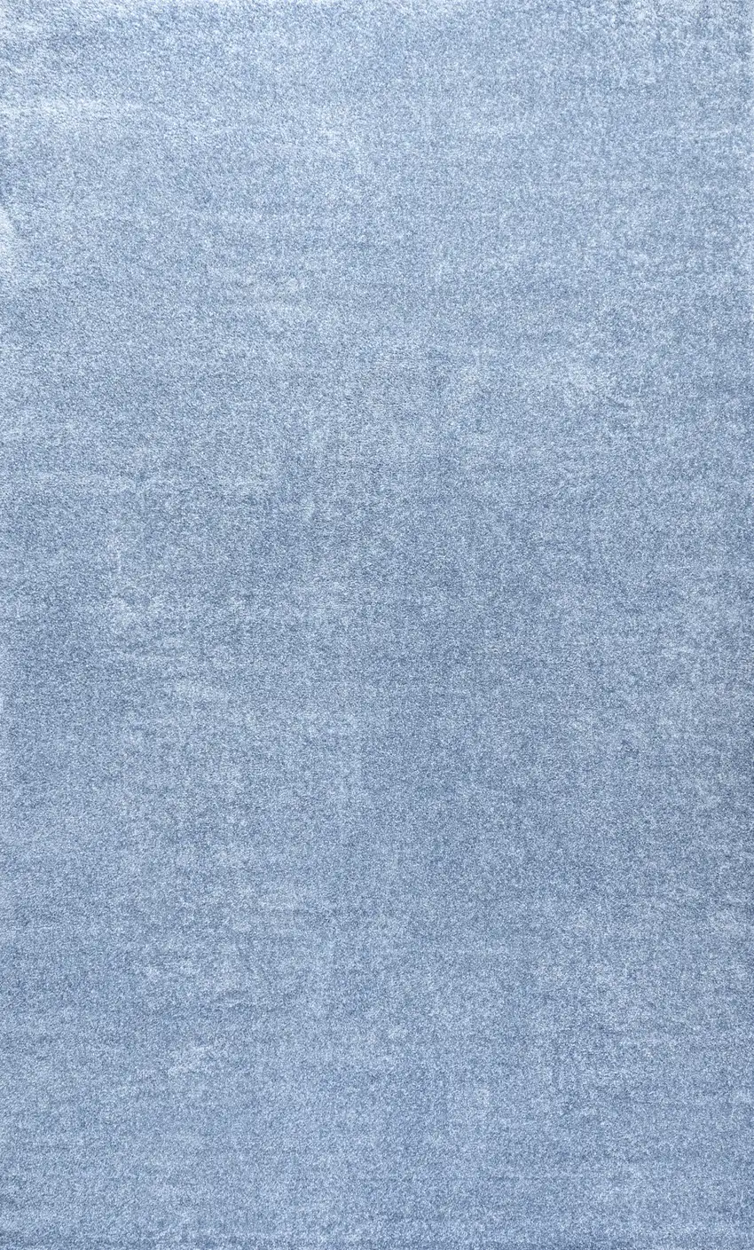 Blue Area Rug Photo 4