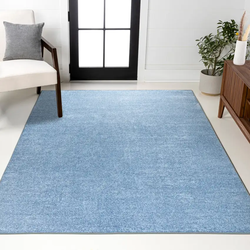 Blue Area Rug Photo 8