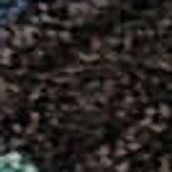 Blue Copper And Ivory Polka Dot Washable Area Rug With UV Protection Photo 2