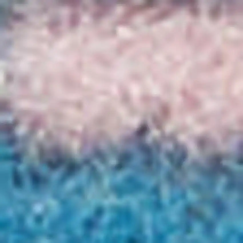 Blue Damask Power Loom Area Rug Photo 3