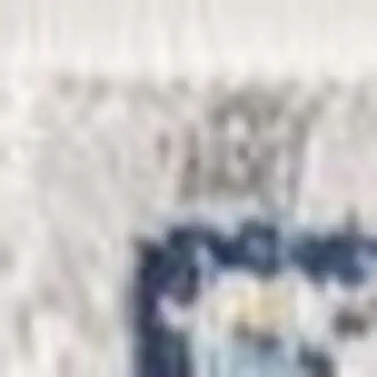 Blue and Yellow Floral Area Rug Photo 3