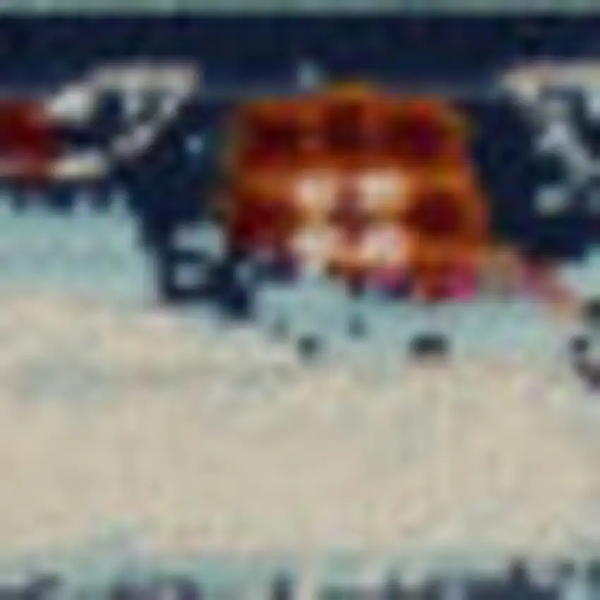 Blue Floral Distressed Area Rug Photo 9