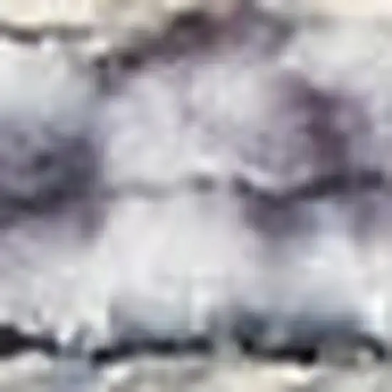 Blue Floral Distressed Area Rug Photo 3