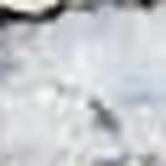 Blue Floral Distressed Area Rug Photo 3