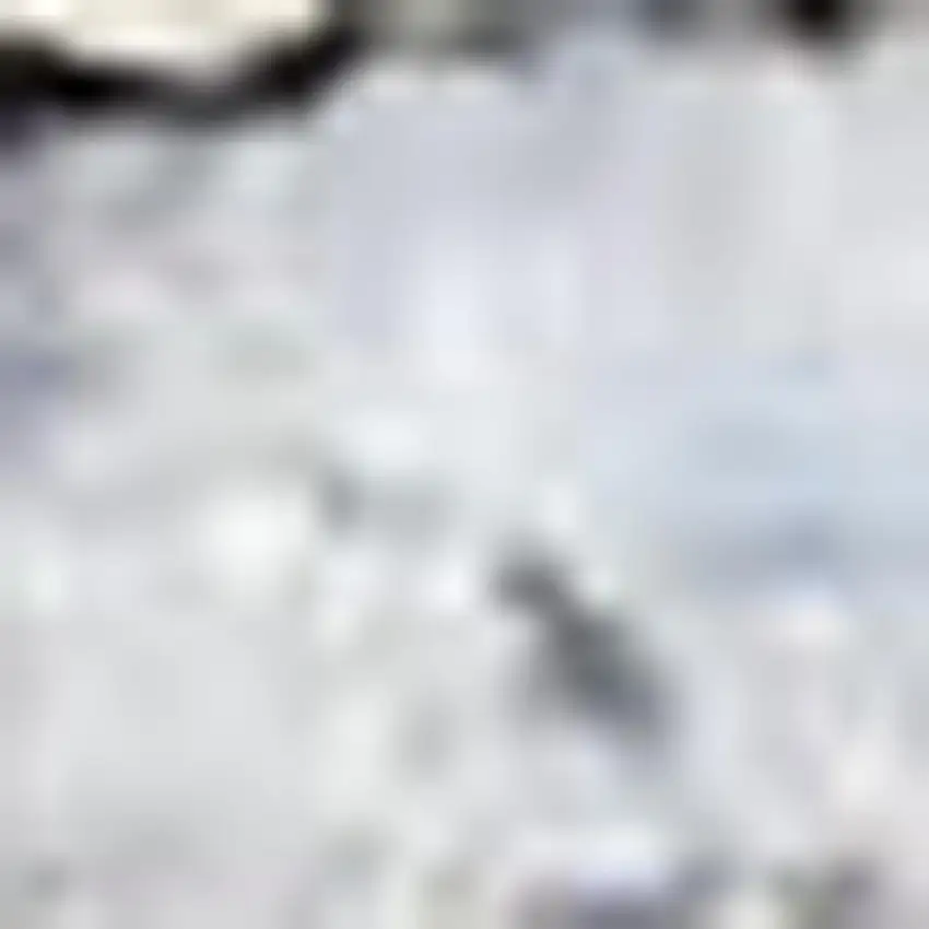 Blue Floral Distressed Area Rug Photo 3