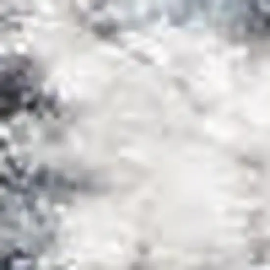 Blue Floral Distressed Area Rug Photo 3