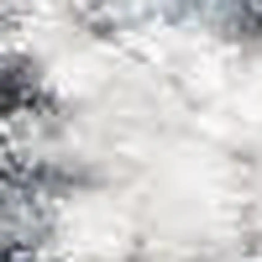 Blue Floral Distressed Area Rug Photo 3