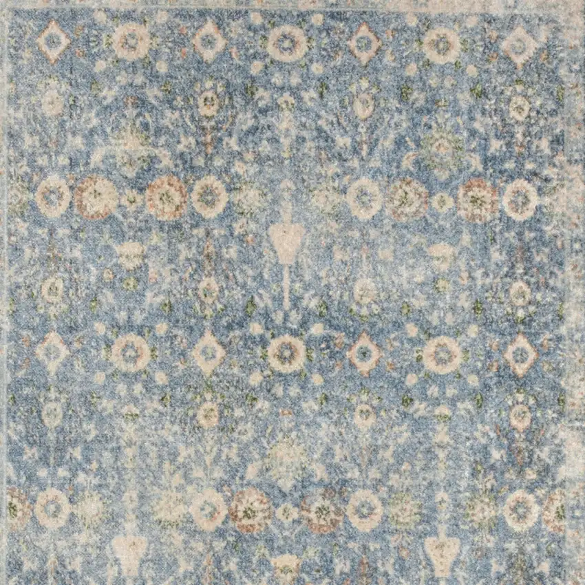 Blue Floral Distressed Area Rug Photo 8