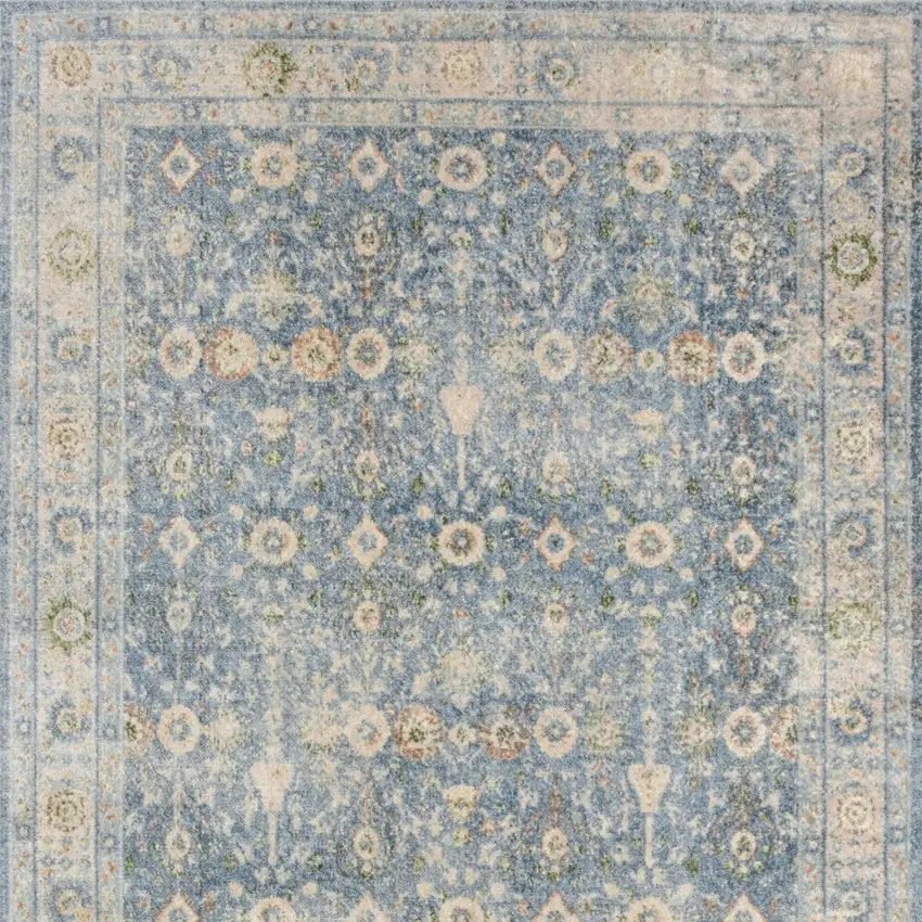 Blue Floral Distressed Area Rug Photo 7