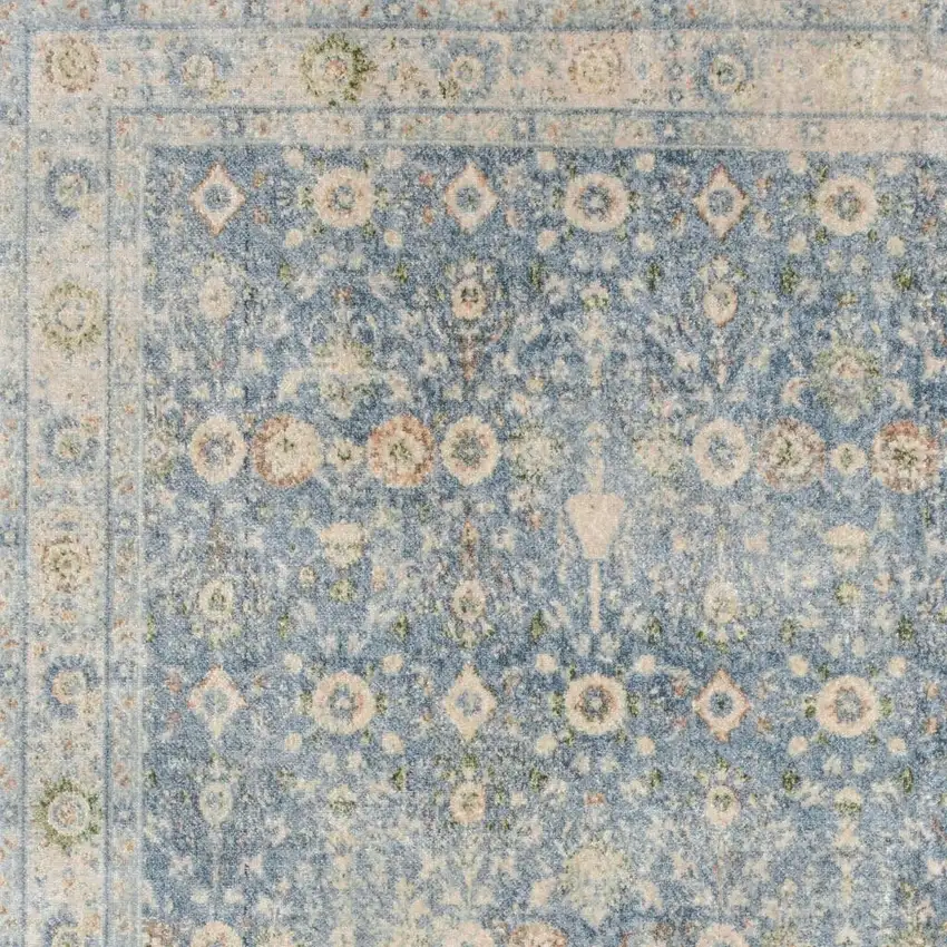 Blue Floral Distressed Area Rug Photo 2