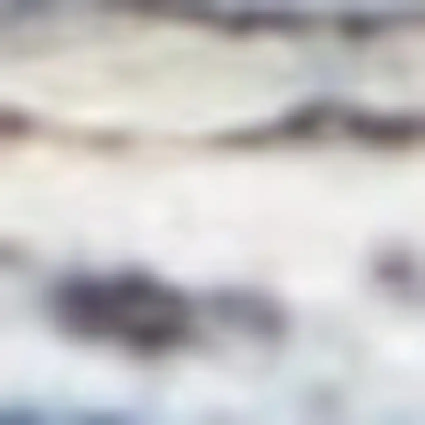 Blue Floral Power Loom Distressed Area Rug Photo 3