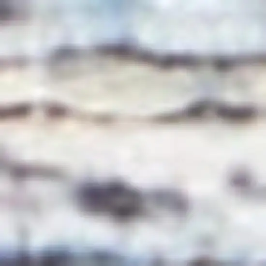 Blue Floral Power Loom Distressed Area Rug Photo 4