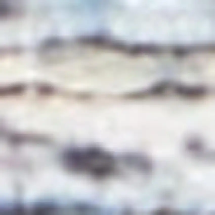 Blue Floral Power Loom Distressed Area Rug Photo 4