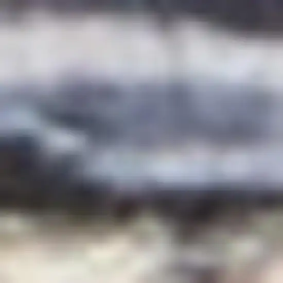 Blue Floral Power Loom Distressed Washable Area Rug Photo 3