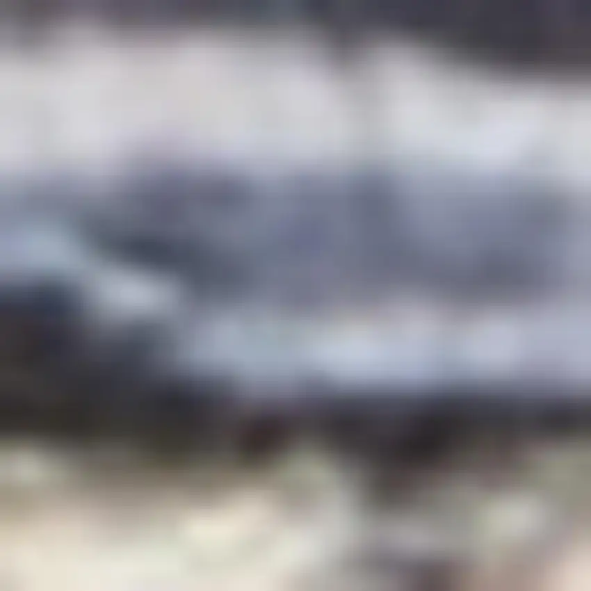 Blue Floral Power Loom Distressed Washable Area Rug Photo 3