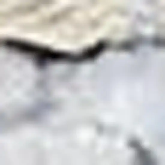 Blue Floral Power Loom Worn Faded Area Rug Photo 3