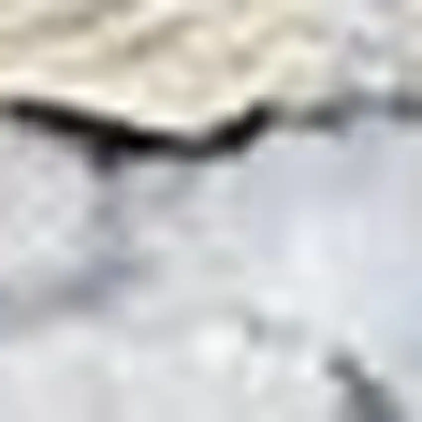 Blue Floral Power Loom Worn Faded Area Rug Photo 3