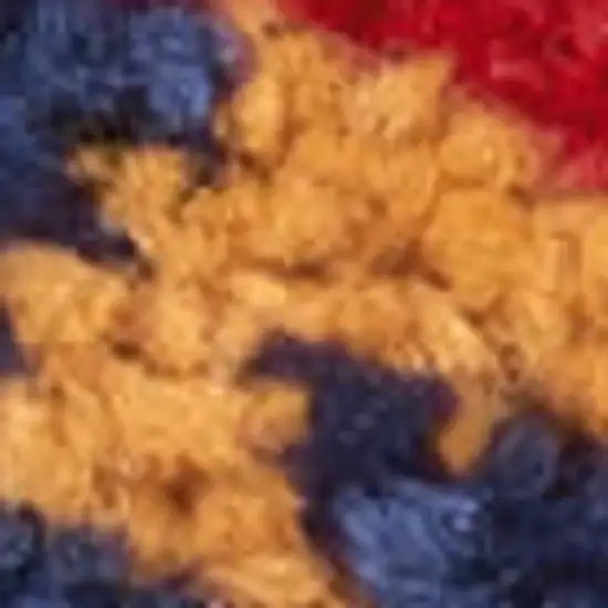 Ivory And Blue Indoor Outdoor Area Rug Photo 4