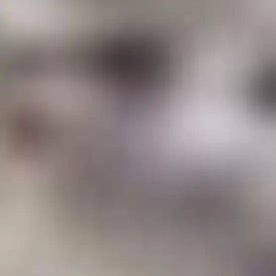 Blue Geometric Area Rug Photo 3