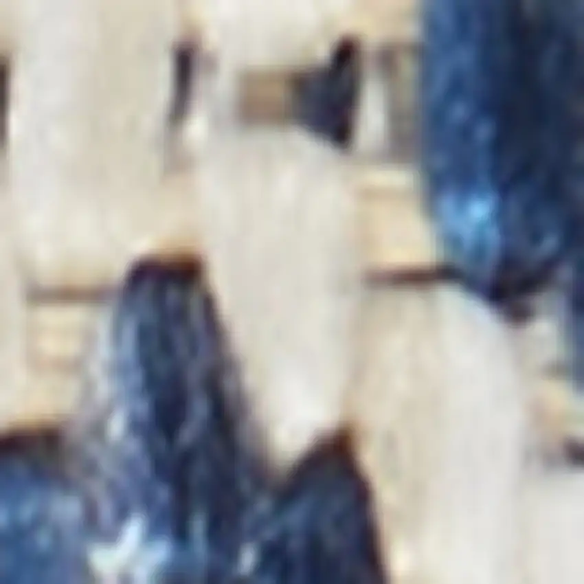 Blue And Ivory Indoor Outdoor Area Rug Photo 6