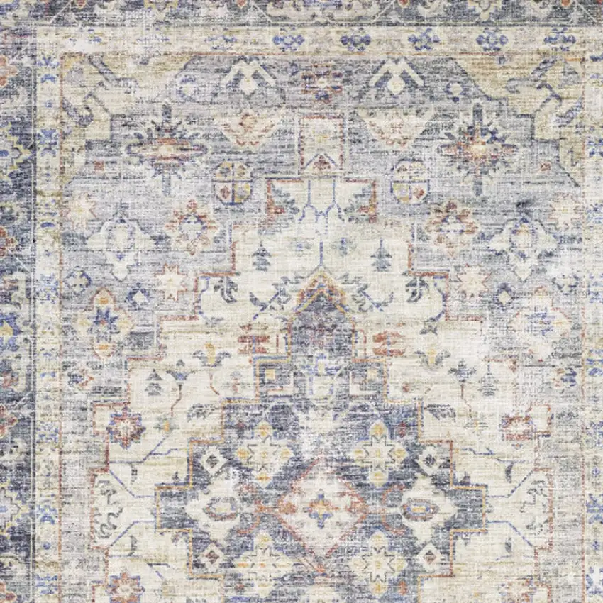 Blue And Gold Oriental Distressed Area Rug Photo 7