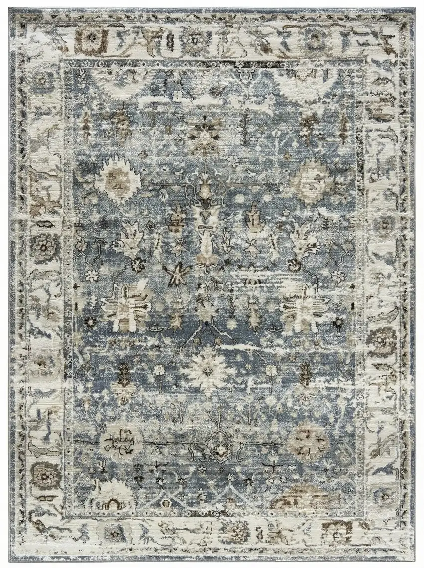 Blue Ivory and Brown Oriental Area Rug Photo 2