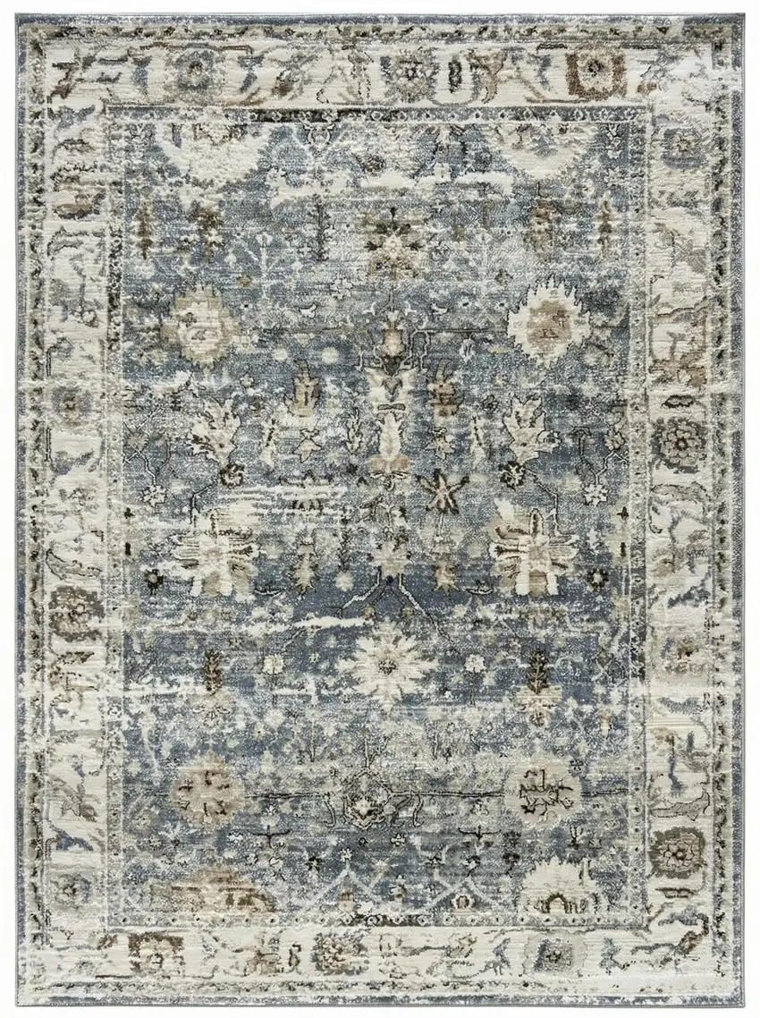 Blue Ivory and Brown Oriental Area Rug Photo 4