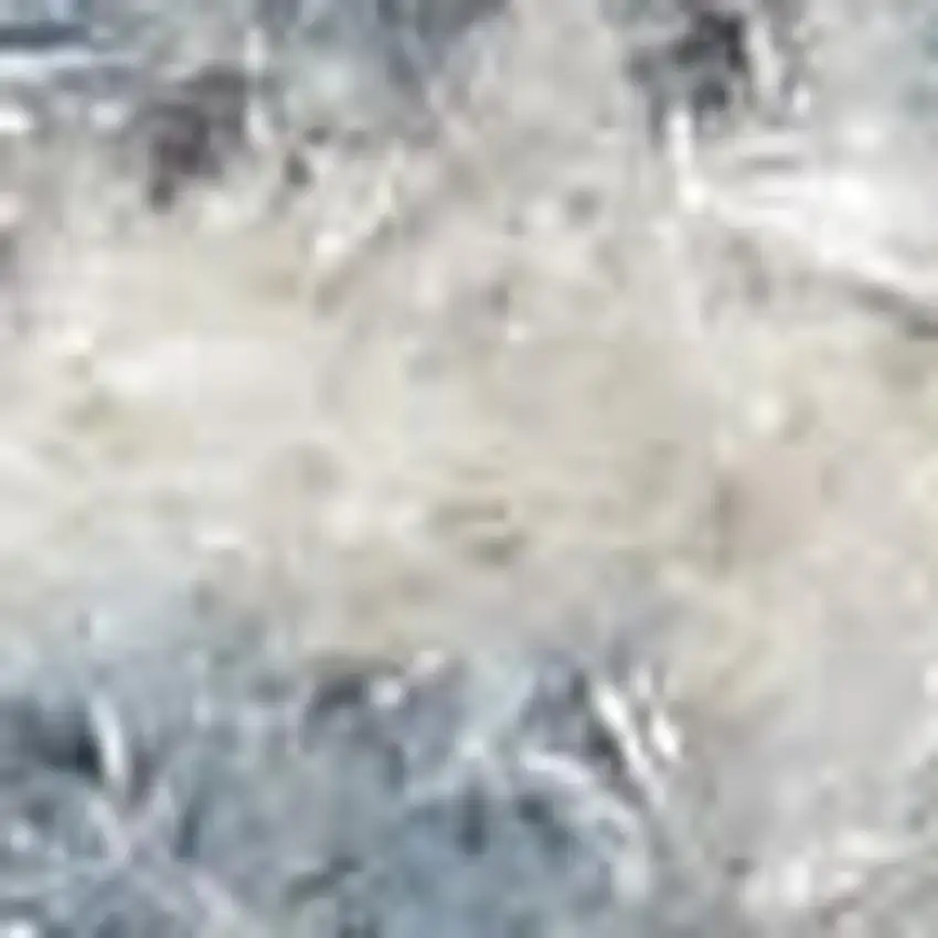Blue Oriental Distressed Area Rug Photo 3