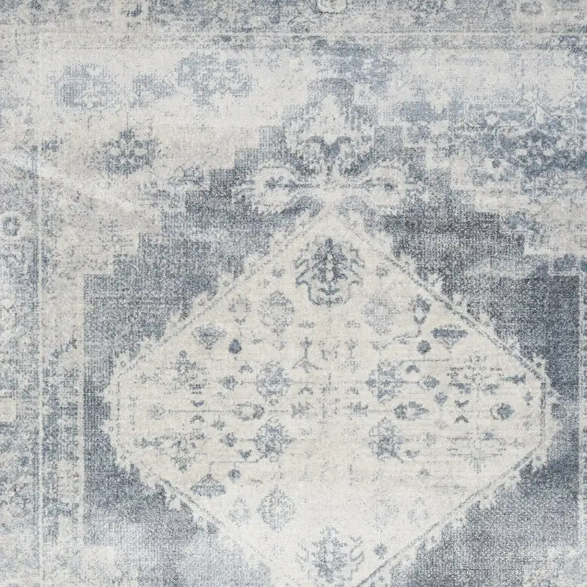 Blue Oriental Distressed Area Rug Photo 9