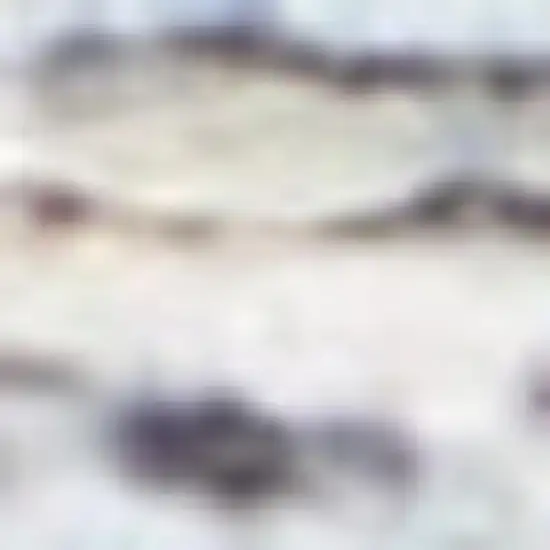 Blue Oriental Power Loom Distressed Washable Area Rug Photo 1