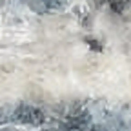 Blue Oriental Power Loom Distressed Washable Area Rug Photo 4