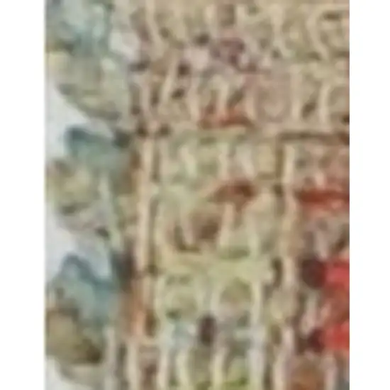 Blue Red And Beige Floral Medallion Hand Woven Distressed Area Rug Photo 9