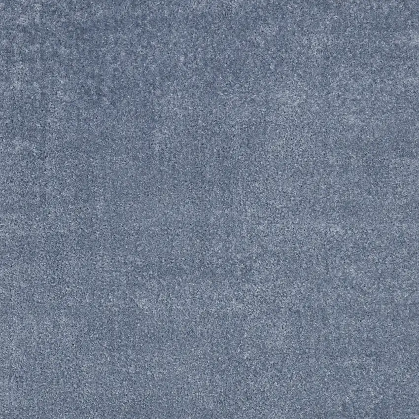 Blue Shag Area Rug Photo 4