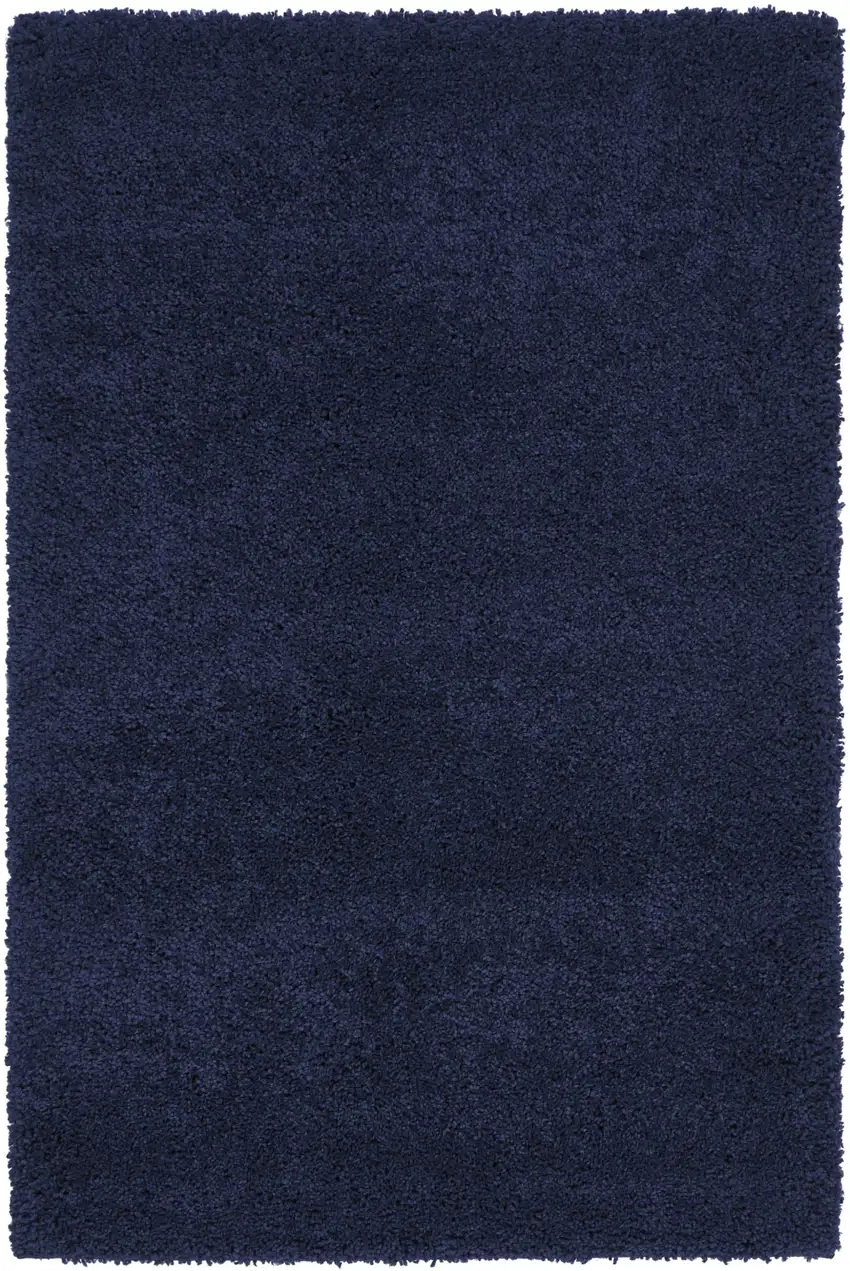 Blue Shag Area Rug Photo 2
