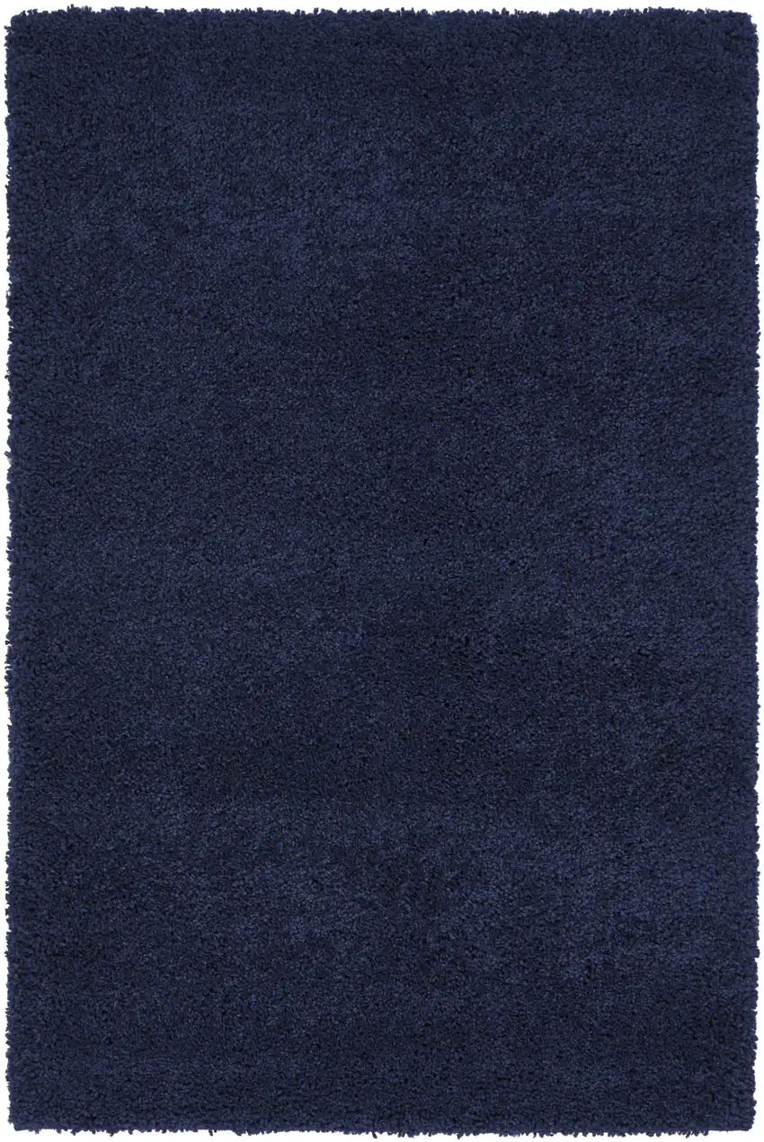 Blue Shag Area Rug Photo 5