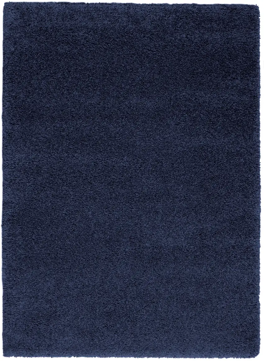 Blue Shag Area Rug Photo 1