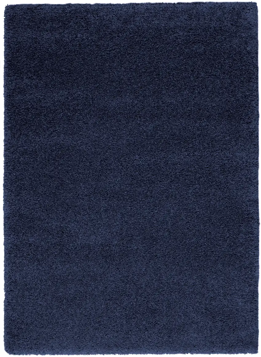 Blue Shag Area Rug Photo 5