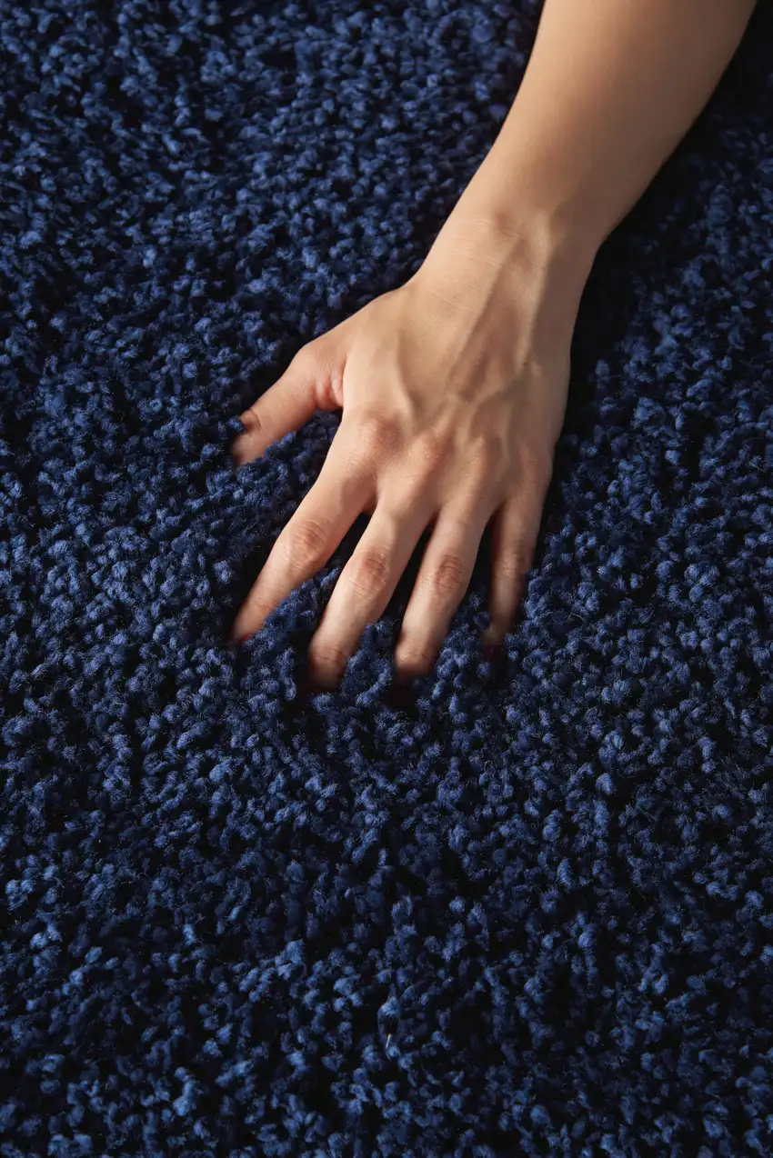 Blue Shag Area Rug Photo 6